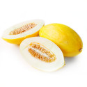Melon żółty