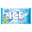 Ice Fresh Cukierki Lodowe 125g