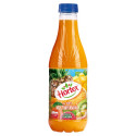 Hortex aseptic Nektar...