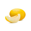 Melon żółty