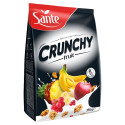 Sante Crunchy Fit Owocowe 350g
