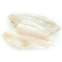 Filet z Soli