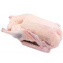 Gęś świeża