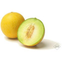 Melon galia/cantaloupe/
