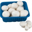 Pieczarka tacka 250g